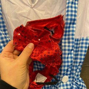 🧺 Wizard of Oz Costume NWOT! Slip on booties included! 🌪